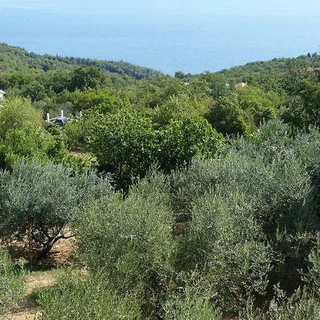 Apartment Apartman Oliva *